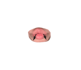 761136587
