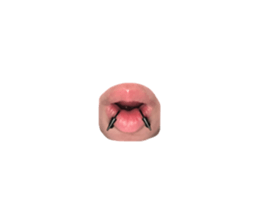 761136591