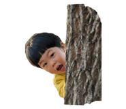 761137685