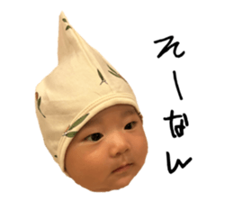 761138036