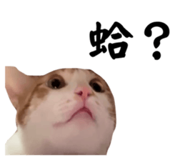 761152181