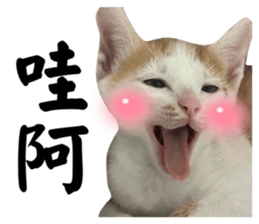 761152190