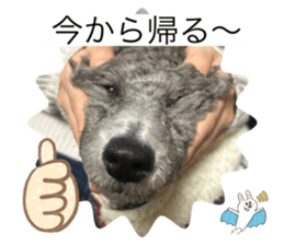 761153474