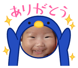 761153555