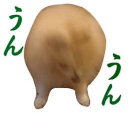 761154402