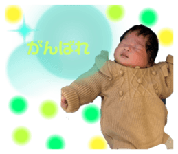 761154988