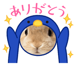 761155394