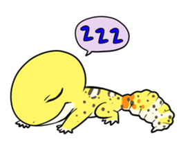 7611620