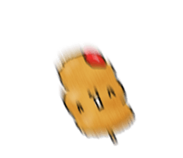 761162081