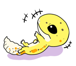 7611656