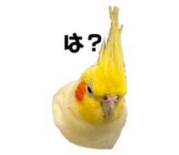 761165841