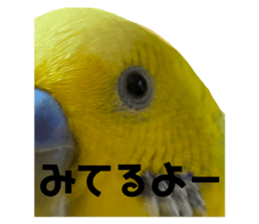761165845