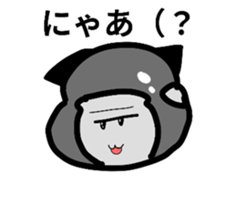 761180790