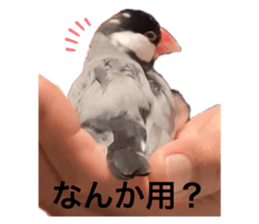 761183136