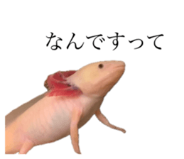 761185184