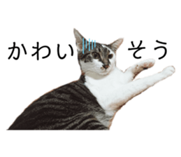 761194769