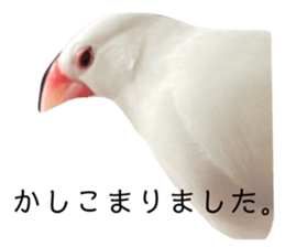 761198962