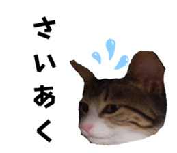 761200007