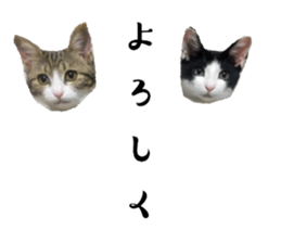 761200019