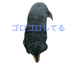 761200599