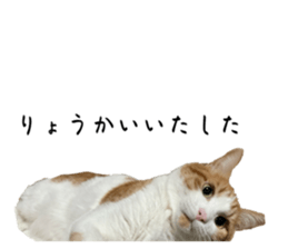 761203207