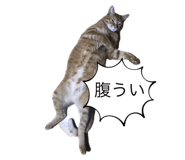 761219009
