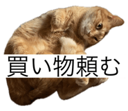 761219019