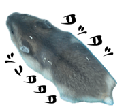 761219137