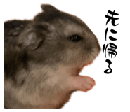 761219141