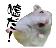 761219142