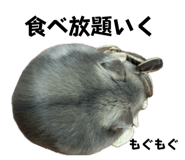 761219149