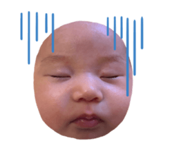 761224402
