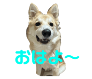 761238737