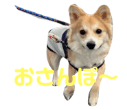 761238738