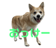 761238740