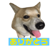 761238742