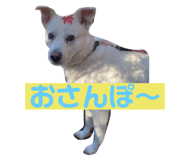 761251874