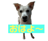 761251875