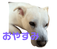 761251877