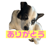 761251878