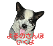 761251880