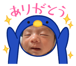 761252115