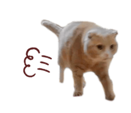 761252207