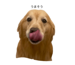 761252245