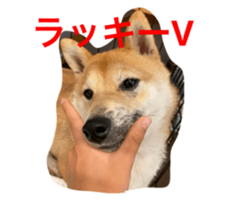 761252367