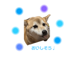 761252694