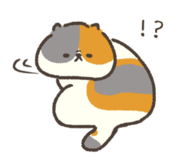 761276724