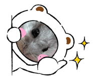 761304137