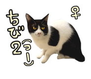 761321008