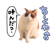 761321018